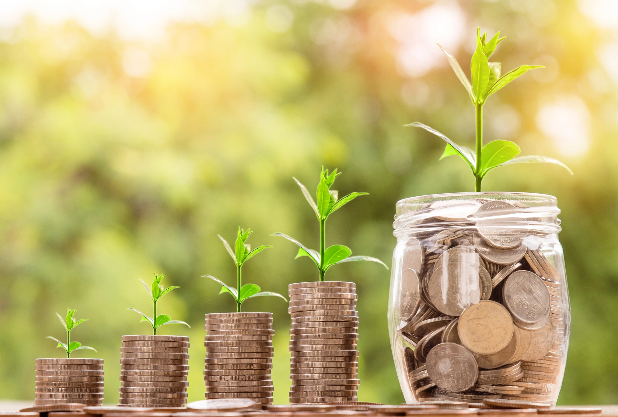 Header Wachstum Braucht Geld