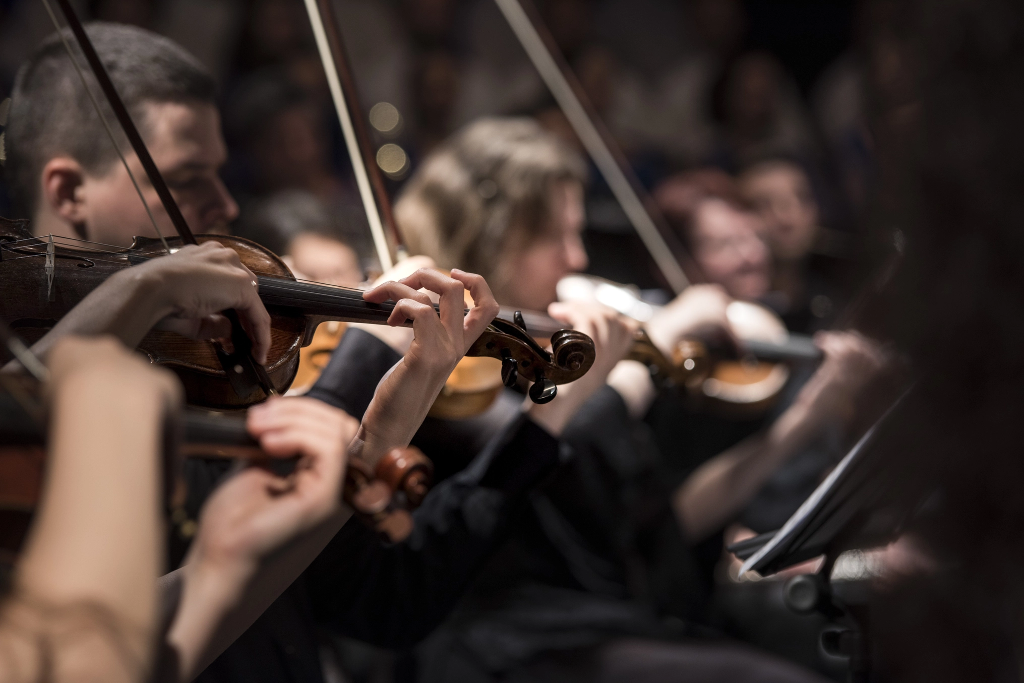 Violins 1838390