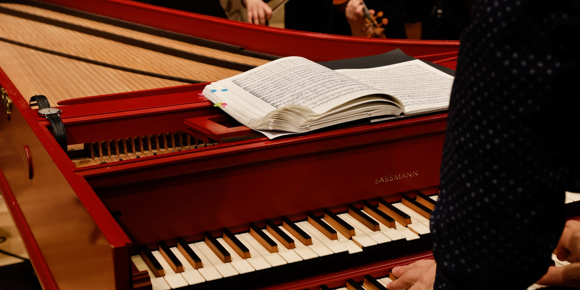 Archiv Header Swnahild Kruckelmann