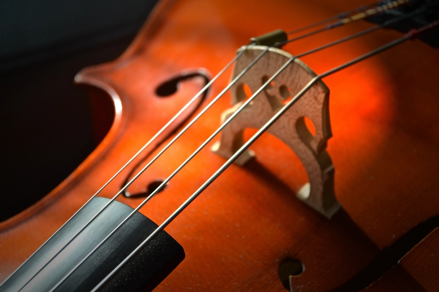 Cello 2820989