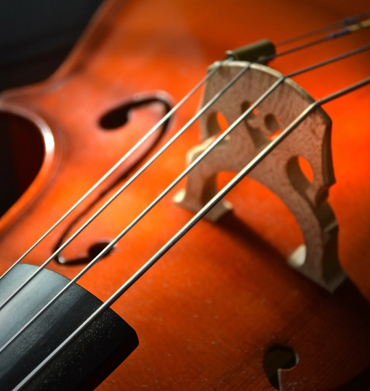 Cello 2820989